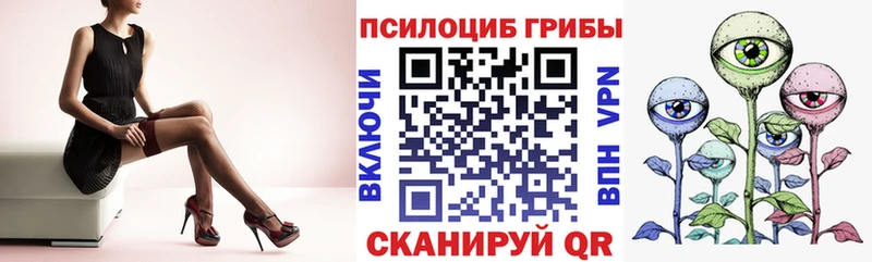 Псилоцибиновые грибы Psilocybe  MEGA ССЫЛКА  Апрелевка 